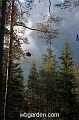 wbgarden alps 5